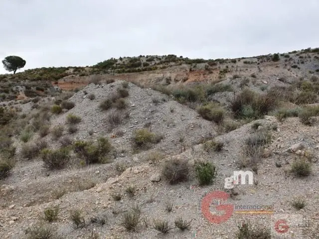 Venta Terreno 140000m2 Velez Benaudalla Ideal Negocio Cultivo
