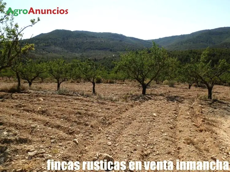 Venta  de Finca de recreo en Alicante