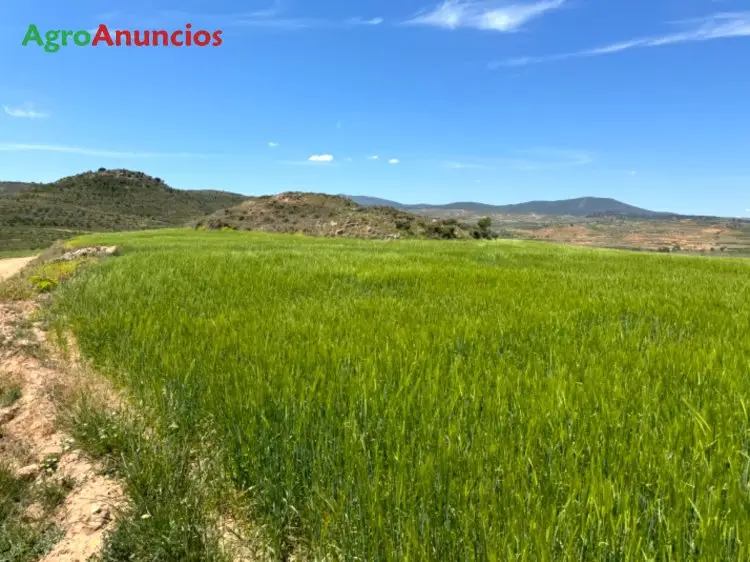 Venta  de Finca rústica en La Rioja