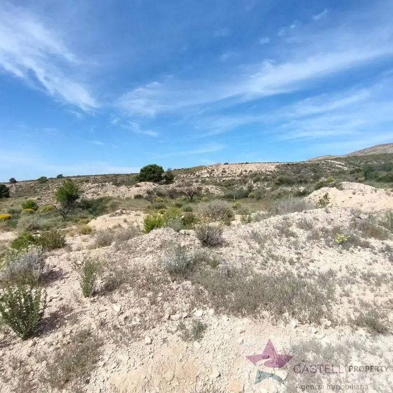 Venta Terreno en Agost 15300m2