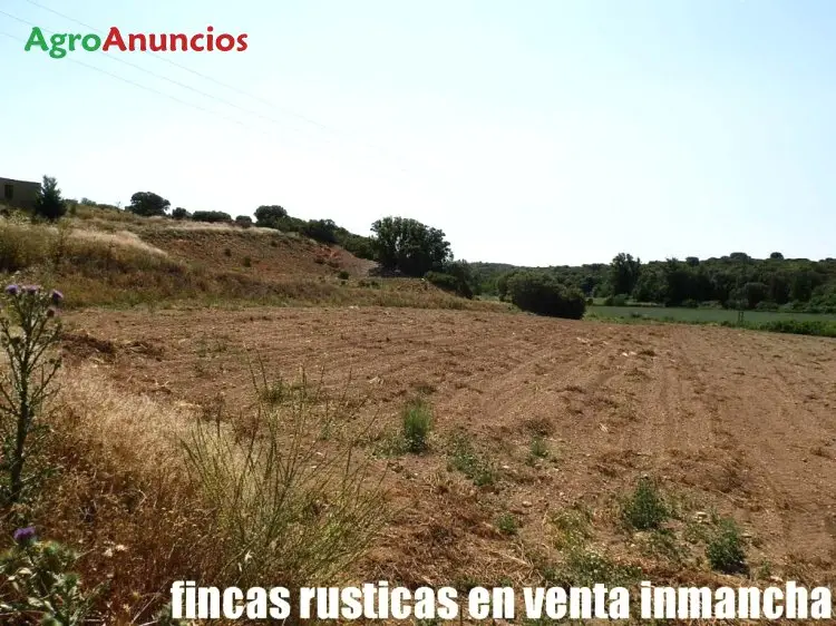 Finca Rustica Recreo Caza Albacete 56 Hectareas Vivienda