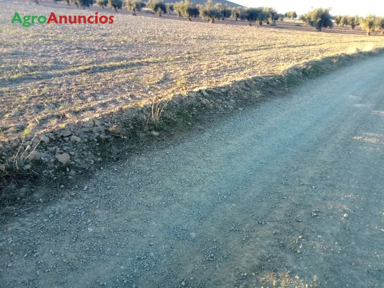 Venta  de Finca rústica en Toledo