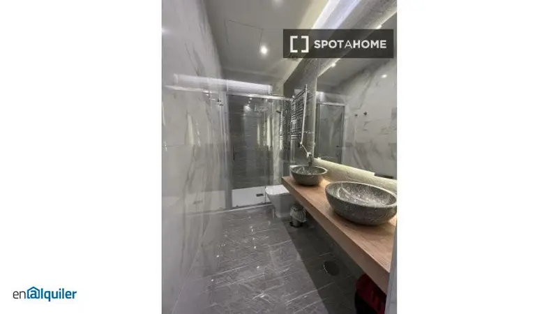 Apartamento Amueblado 1 Dormitorio Madrid Calle Echegaray