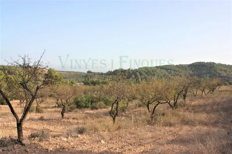 Masia Rural en Priorat con Finca de 390000m2