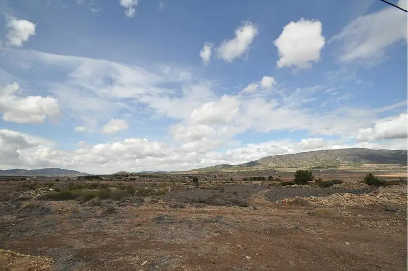 Terrenos en venta
Pinoso, Alicante