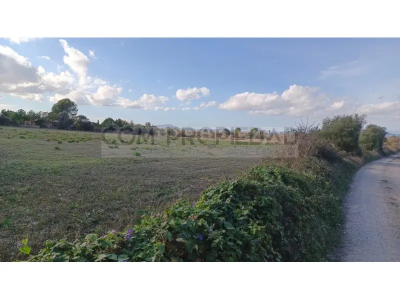 Venta Suelo Son Macià 16800m2 Vivienda Unifamiliar