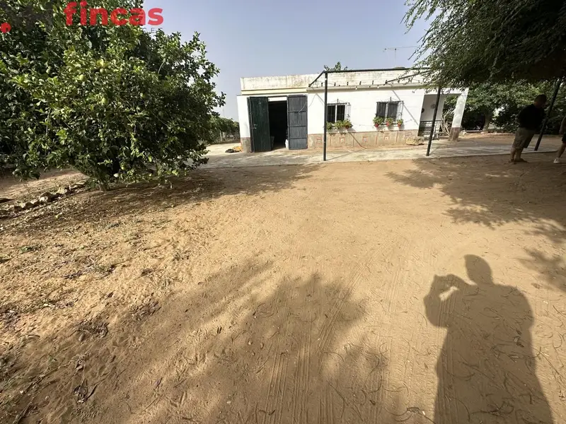 Venta Casa Rural 2 Dormitorios Mairena del Alcor