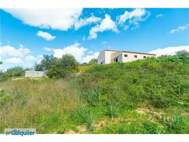Alquiler Finca Agricola Inca 10286m2