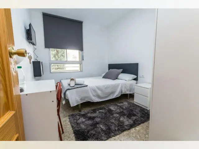 Habitacion Alquiler Malaga Apartamento Compartido Estudiantes Profesionales