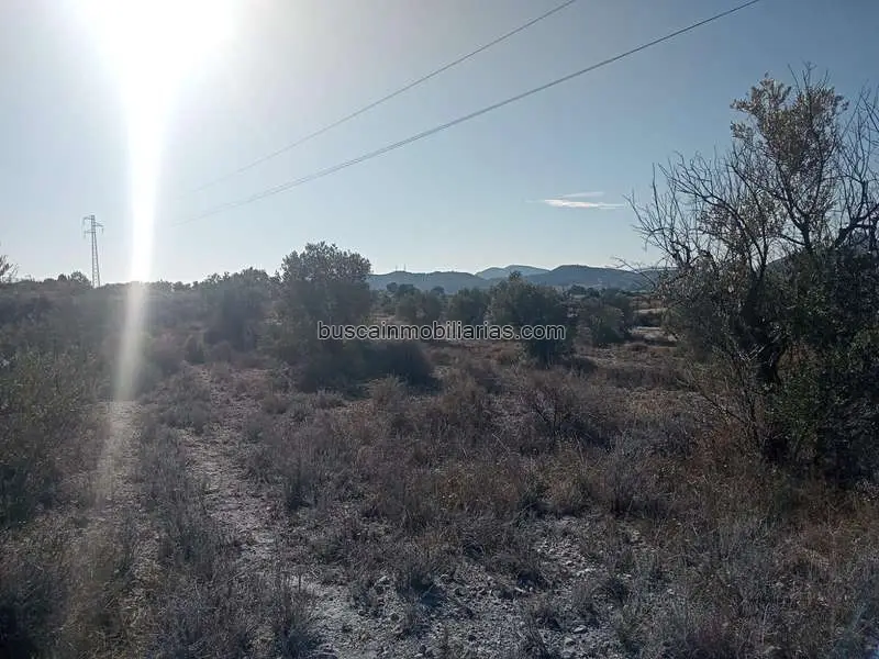 Parcela Rustica en Venta Sax 12000m2