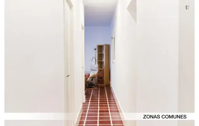 Alquiler Apartamento 5 Dormitorios Sevilla Estudiantes