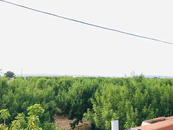 Casa de Campo en Murcia 5 Dormitorios 5ha