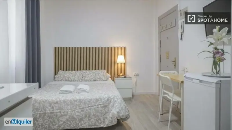 Apartamento Amueblado 1 Dormitorio Madrid Calle Vallehermoso