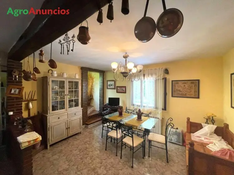 Venta  de Finca con casa y nave en Cáceres