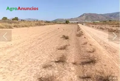 Venta  de Terreno para plantaciones frutales en Murcia