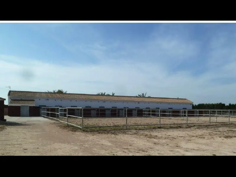 Finca Rustica con 12 Establos cerca San Miguel de Salinas