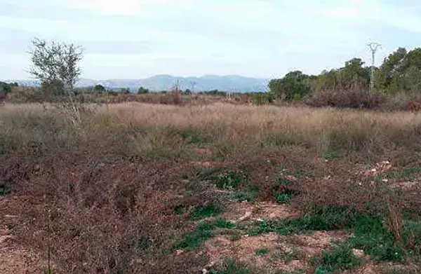 Suelo Rustico Agrario en Vilamarxant Valencia 10335 ha