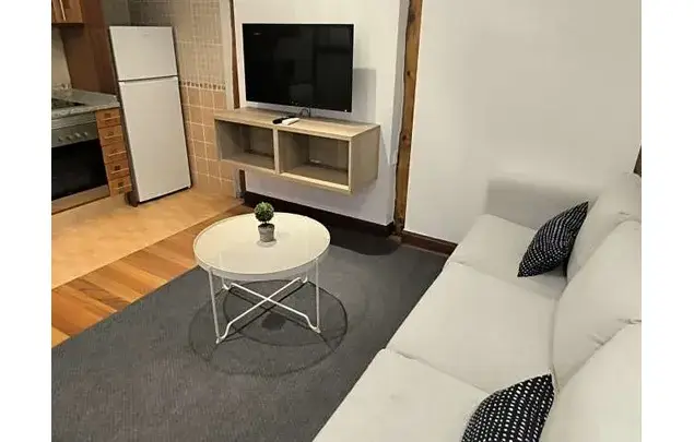 Apartamento 1 Dormitorio Palacio Madrid