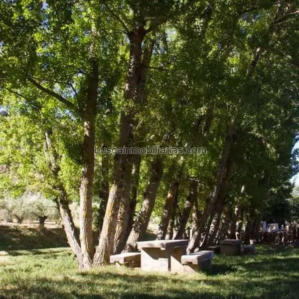 Parcela Rustica en Venta Frailes 3566m2