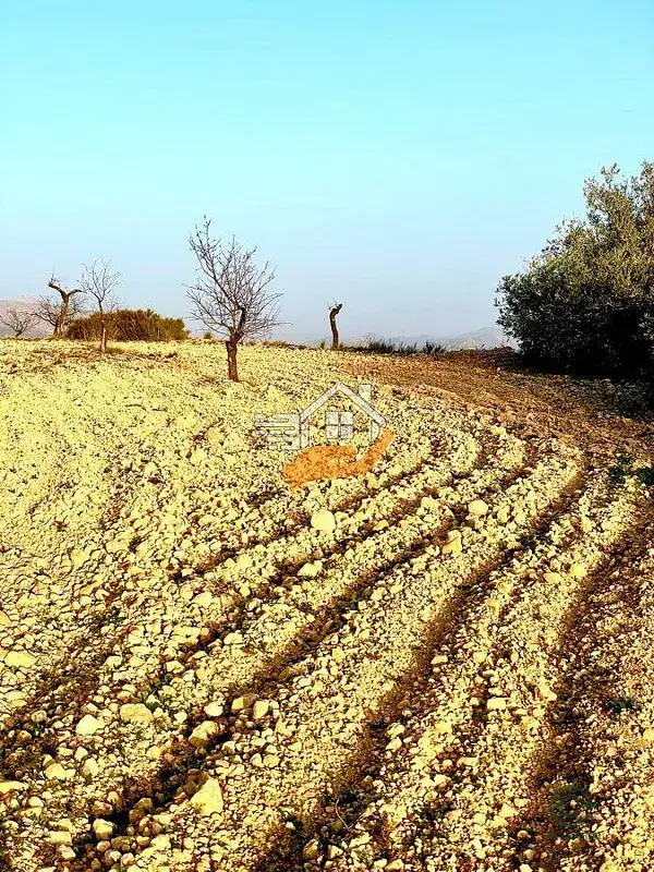 Parcela Rustica con Olivos y Almendros en Sierra Mahimon