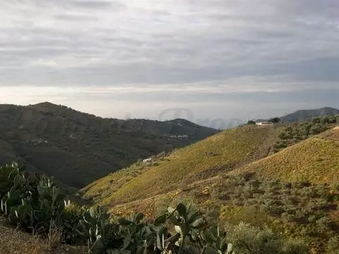 Terreno en Venta Canillas de Albaida: 29000m2 con Vistas Panorámicas
