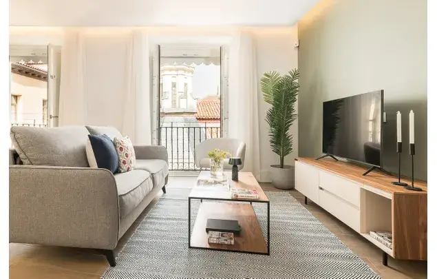 Apartamento 1 Dormitorio 89m2 Madrid Centro Historico