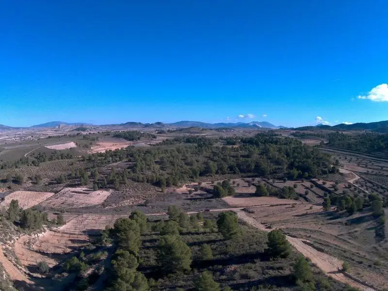 Parcela Edificable La Zarza Murcia Hasta 400m2