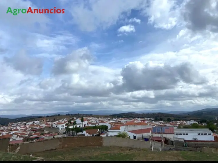 Venta  de Finca olivares de secano en Badajoz