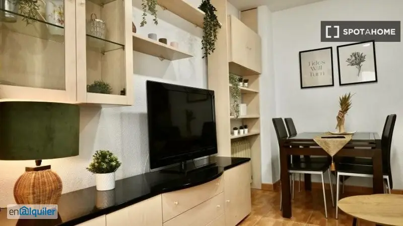 Apartamento Amueblado 1 Dormitorio Madrid