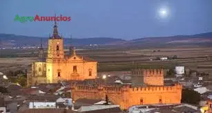 Venta  de Terreno de secano en Toledo