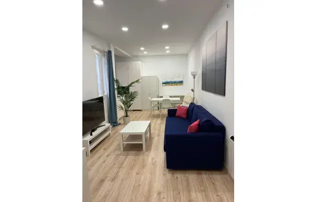 Alquiler Apartamento 2 Dormitorios Madrid 3-24 Meses