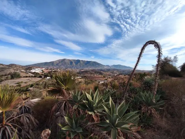 Terreno Rústico con Vistas Panorámicas en Mijas