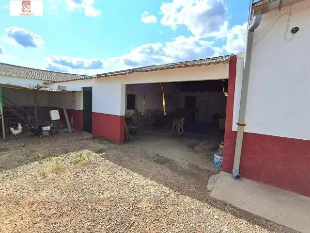 Chalet y Nave Agricola en Montijo 28000m2