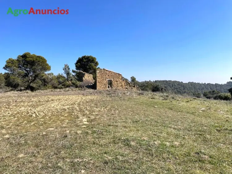 Venta  de Finca de caza con casa en Zaragoza