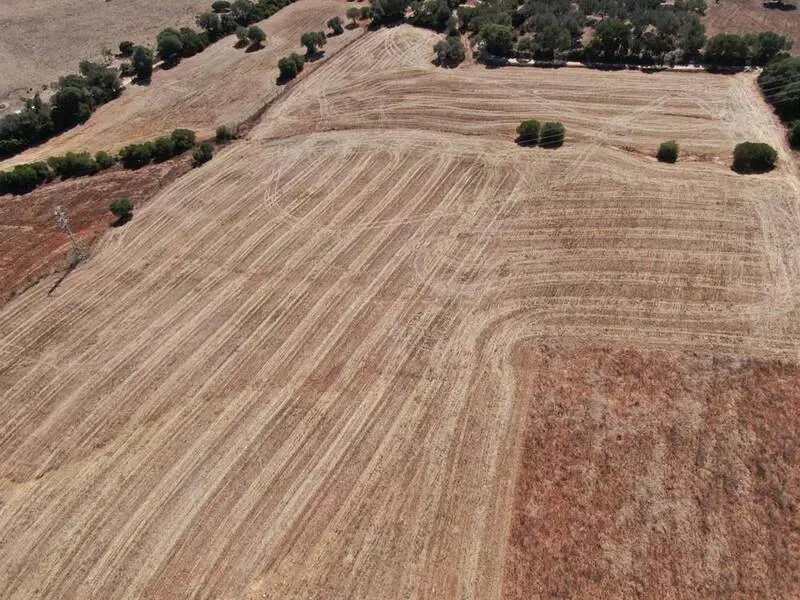 Finca Rustica con Casa para Reformar cerca de Vejer de la Frontera