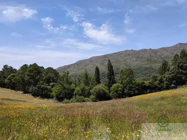 Finca 23ha San Martin Trevejo Turismo Rural Casa 500m2
