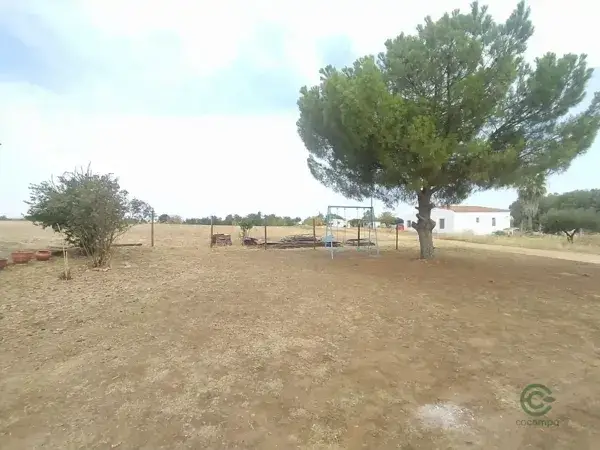 Finca Rustica 22000m2 Frutales Huerto Alberca Vivienda Naves