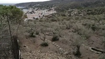 Finca rústica en venta en Camí del Puig Ferrol