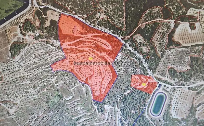 Parcela Rustica en Cervia de les Garrigues con Olivos