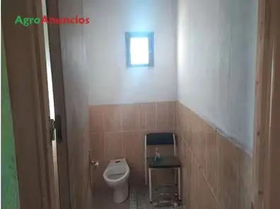Venta  de Cortijo con almendros en Almería