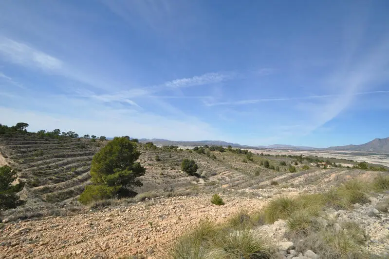 Parcelas en Venta La Zarza - Construccion Permitida