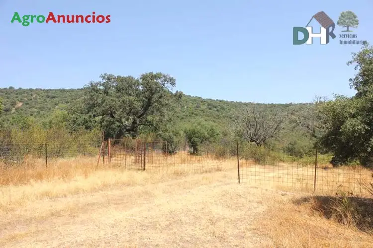 Venta  de Finca rústica de bosque mediterráneo en Cáceres