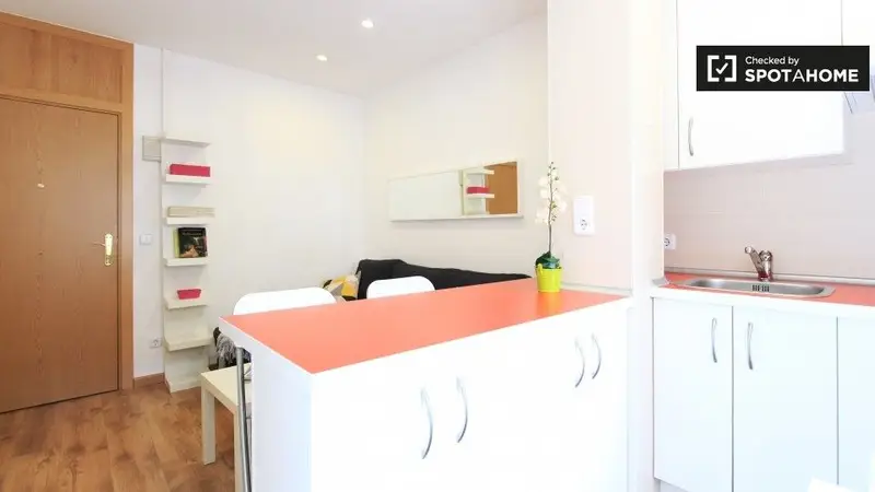 Apartamento en Madrid 1 Dormitorio 1 Baño Spotahome