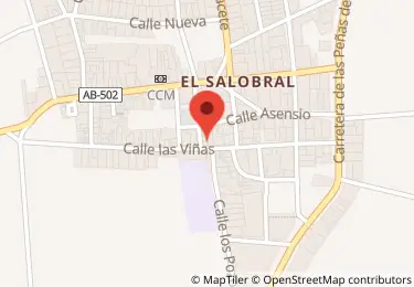 Casa en Venta en Calle Viñas Albacete