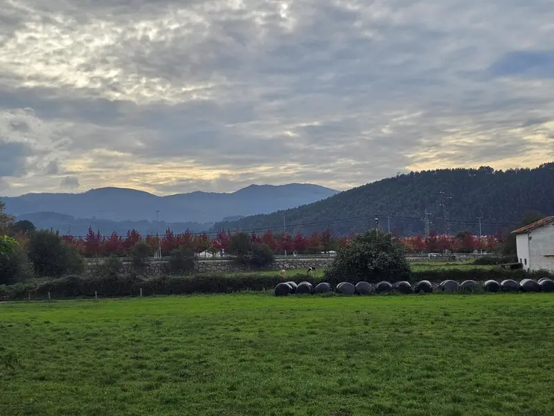 Venta Terreno Rustico Campuzano Torrelavega 14000m2