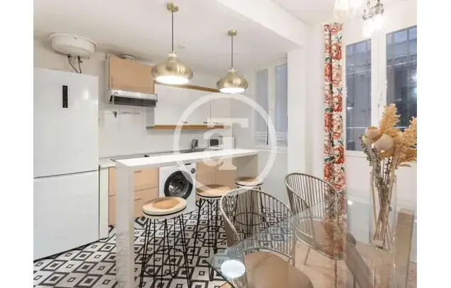 Alquiler Apartamento 1 Dormitorio Barrio Salamanca Madrid