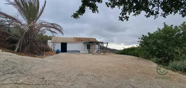 Finca Rustica Cártama Málaga 23500m2 con Casa Pozo y Aljibe