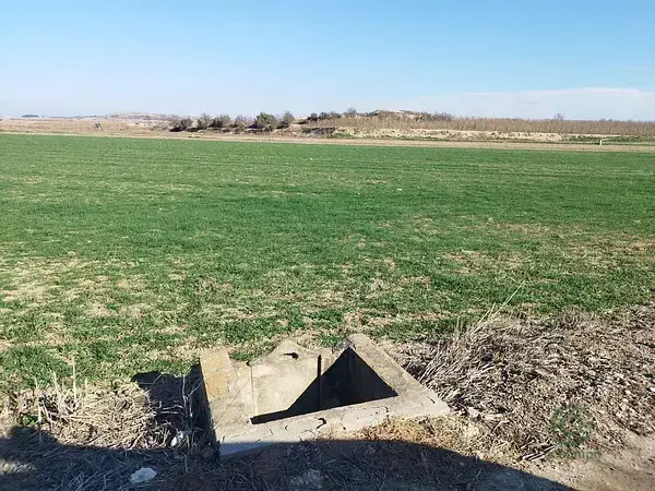Finca Rustica Regadio 8600m2 Els Alamus