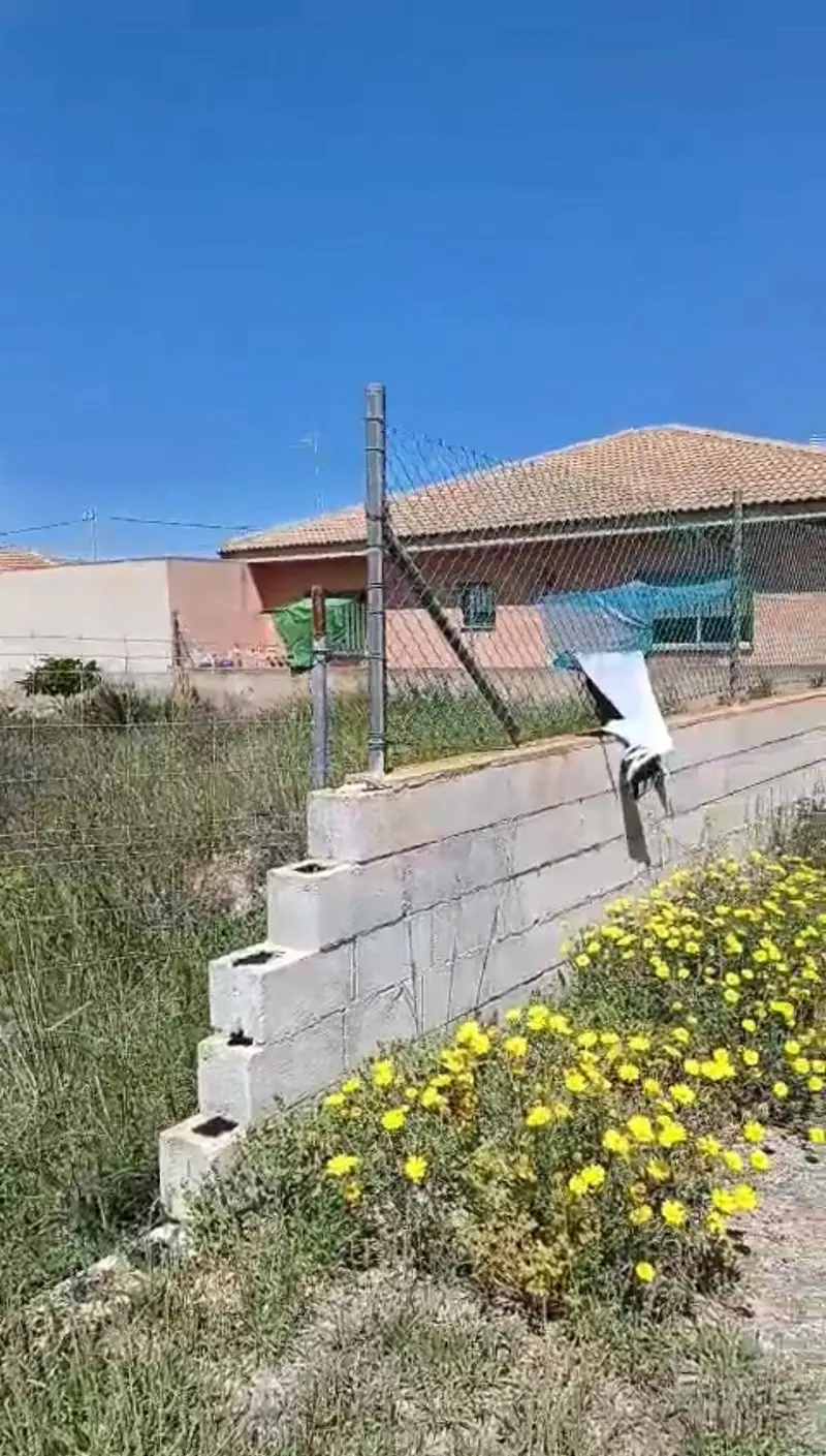 Terreno en Venta Las Beatas San Pedro del Pinatar