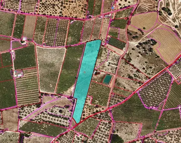 Terreno Agricola Santa Barbara 252ha
